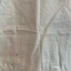 【無料】LEGOレゴ　レディースTシャツ　Sサイズの画像