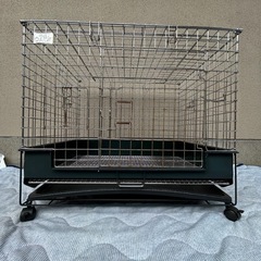 うさぎ　モルモット　デグー　フェレット　プレーリードッグ　小動物...