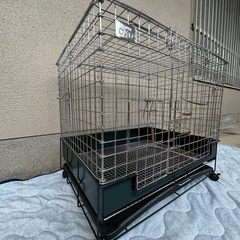 うさぎ　モルモット　デグー　フェレット　プレーリードッグ　小動物用　ペットケージ　ケージ　ゲージ　カワイ　コンフォート60 の画像