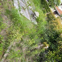 庭の草刈りお願い致します。