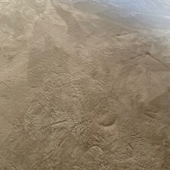 ニトリ 極暖 ラグ