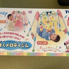メロディジムの画像