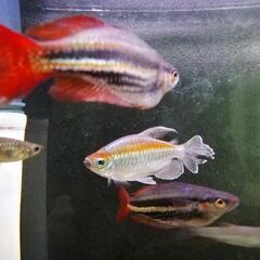 最終価格です