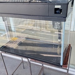 水槽GEX AQUARIUM ガラス マリーナ600BKS デュアルクリーンセット の画像
