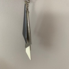 イヤリング、指輪の画像