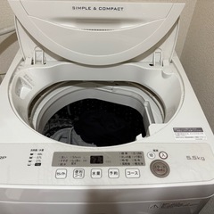 洗濯機
