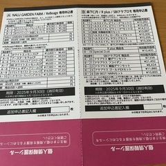 アンジェス 株主優待ハガキ　の画像
