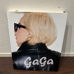 レディーガガ＆マドンナの写真集セット‼️の画像