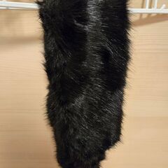レディース　服