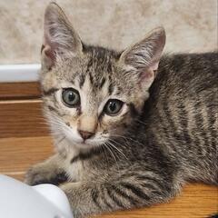 全力で遊ぶ元気印ララちゃん
