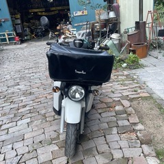 【Y1606】実働車　ホンダ　ベンリィ50 AA03 販売証明書発行可能　77,000円（税込）の画像