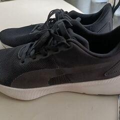 【PUMA】スニーカー24.5cmの画像