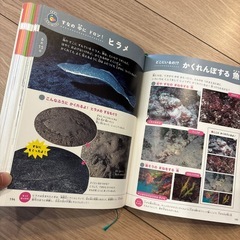 美品⭐️しぜんとかがくのはっけん！366の画像