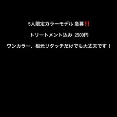 5人限定でカラーモデル募集中です！
