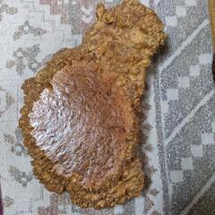 花台　一枚板　マカンバの画像