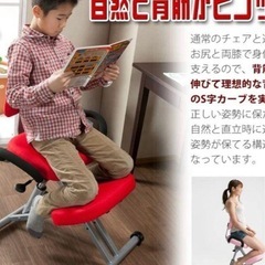 自然と背筋が伸びる、子どもから大人まで使えるチェアーの画像