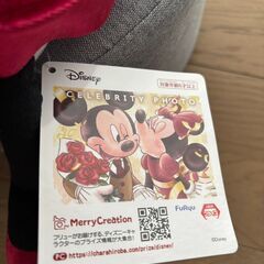 ディズニー　セレブリティフォト　ペアぬいぐるみの画像