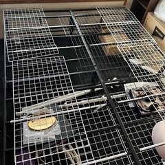 ZINUS ダブルベッドの画像