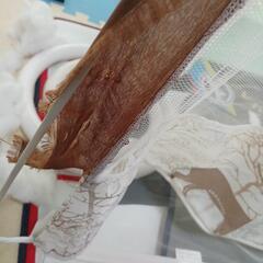 蚊屋、テントの画像