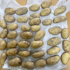 新ジャガイモ(38個2キロ)