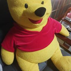 プーさん　Bigぬいぐるみの画像