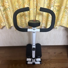 足踏み ステップ運動マシンの画像