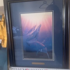 Christopher R. Lassen イルカ 絵画の画像