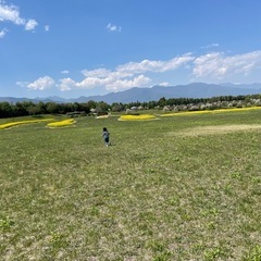シンママ・シンパパ友達募集