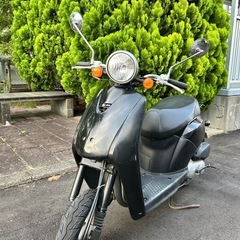 【原付バイク】ホンダ トゥデイ マットブラック