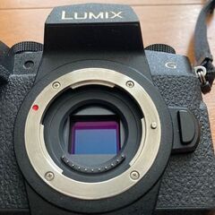 【LUMIXユーザー必見】LUMIX G99  デジタル一眼カメラ/ボディの画像