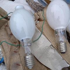 電気ランプ