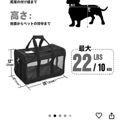 ペット キャリー 美品の画像
