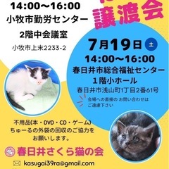猫の譲渡会(K-2025-7)