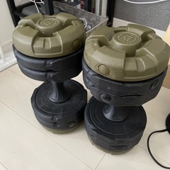 ダンベル10kg