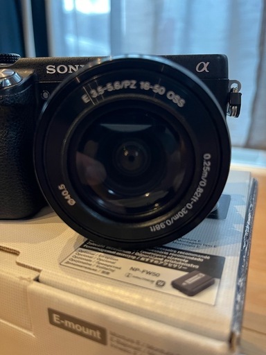 SONY ミラーレス一眼