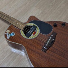 渋いデザインのシングルカッタウェイのエレアコ