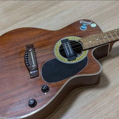 動作確認済！渋いデザインのシングルカッタウェイのエレアコの画像