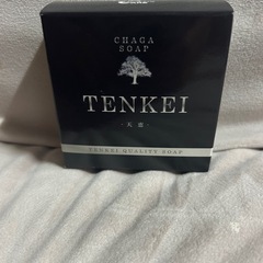 TENKEI 黒石鹸