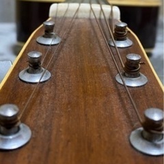 Morris F–20 モーリス　1970年代ヴィンテージ　　の画像