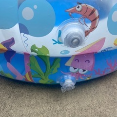 ビニールプールの画像