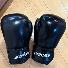 Creerサンドバッグ&グローブの画像