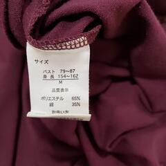 Tシャツの画像