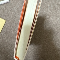小説　ダニーは世界チャンピオン　ロアルドダールの画像