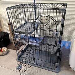 猫ゲージ