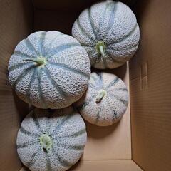 🍈マルセイユメロン🍈
