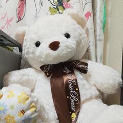 テディベア 