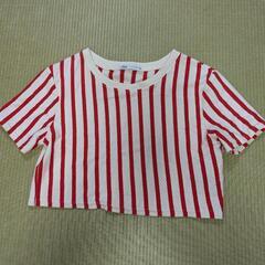 丈短　ティーシャツ