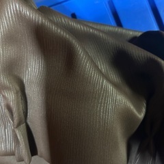 ニトリ　かーあの画像