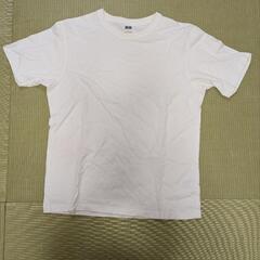 白　Tシャツ