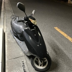 ホンダディオの画像